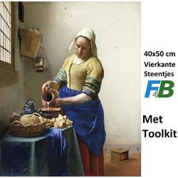 F4B | Het Melkmeisje | Johannes Vermeer | 40x50CM | Diamond painting pakket | volledig dekkend | Diamant Schilderen | vierkante steentjes